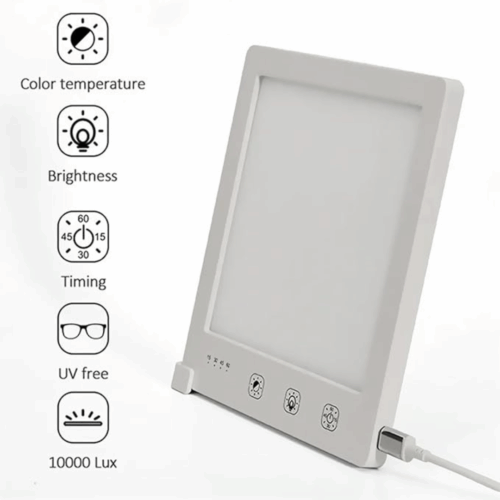 Moodozi (Official Retailer) 2025