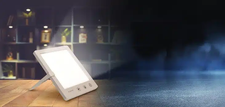 Moodozi (Official Retailer) 2025