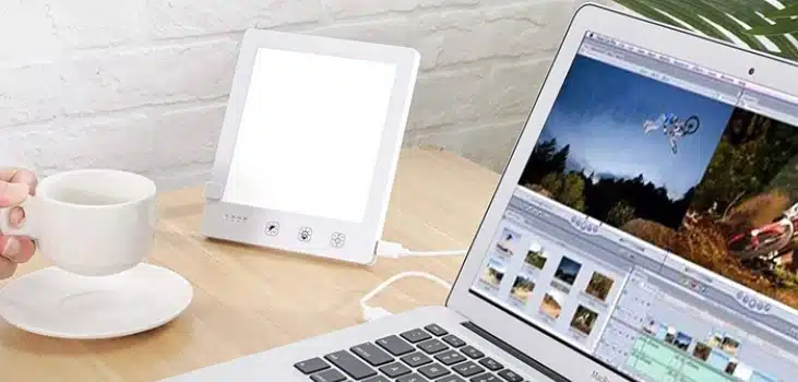 Moodozi (Official Retailer) 2025